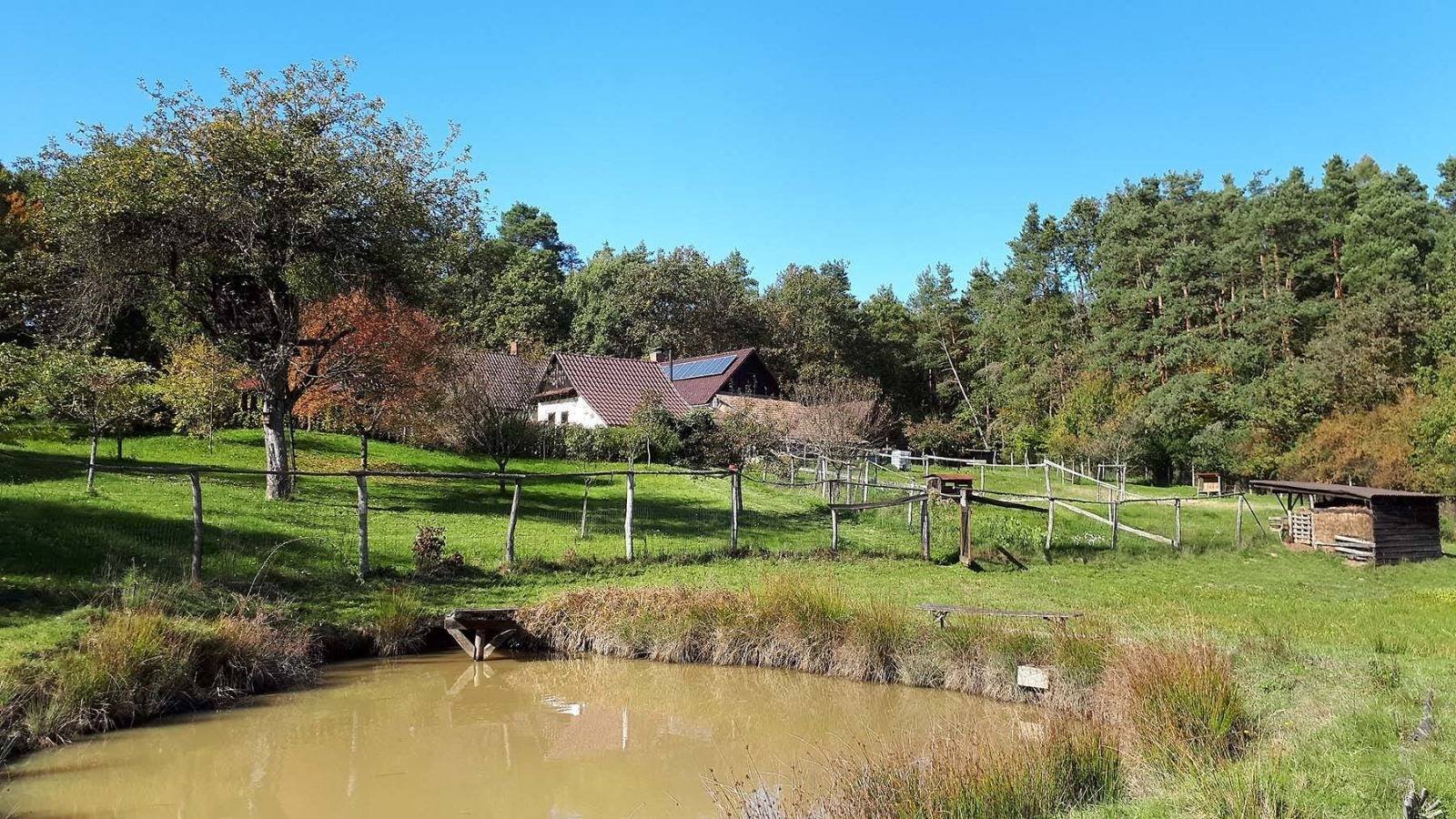 Apátistvánfalva: Alleinlage an der österreichischen Grenze: Traditionelles Landhaus mit 1,5 Ha Land 