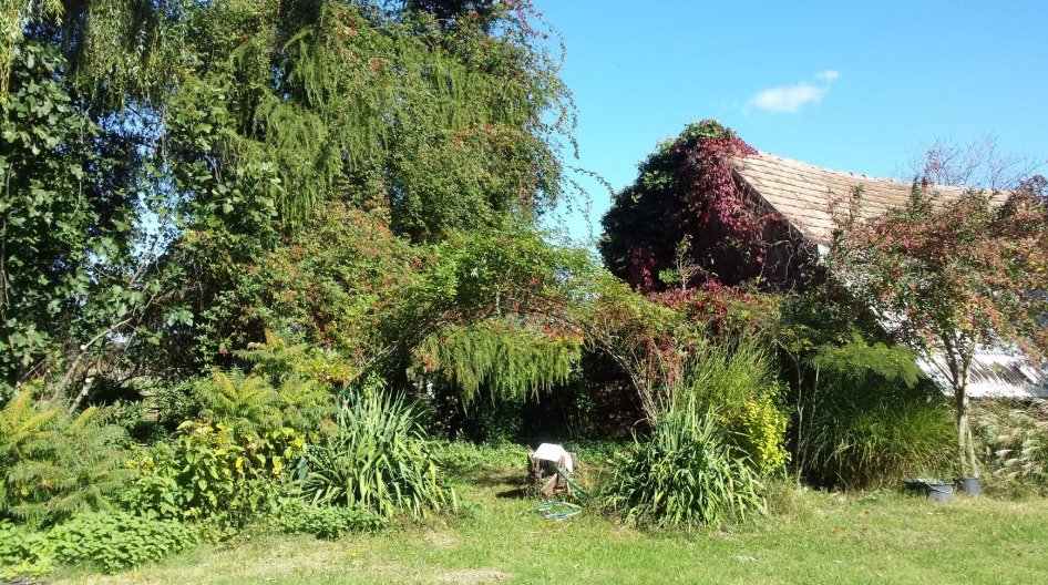 Mesztegnyő: (AAA) Einfamilienhaus in ruhiger, familienfreundlicher Gegend 