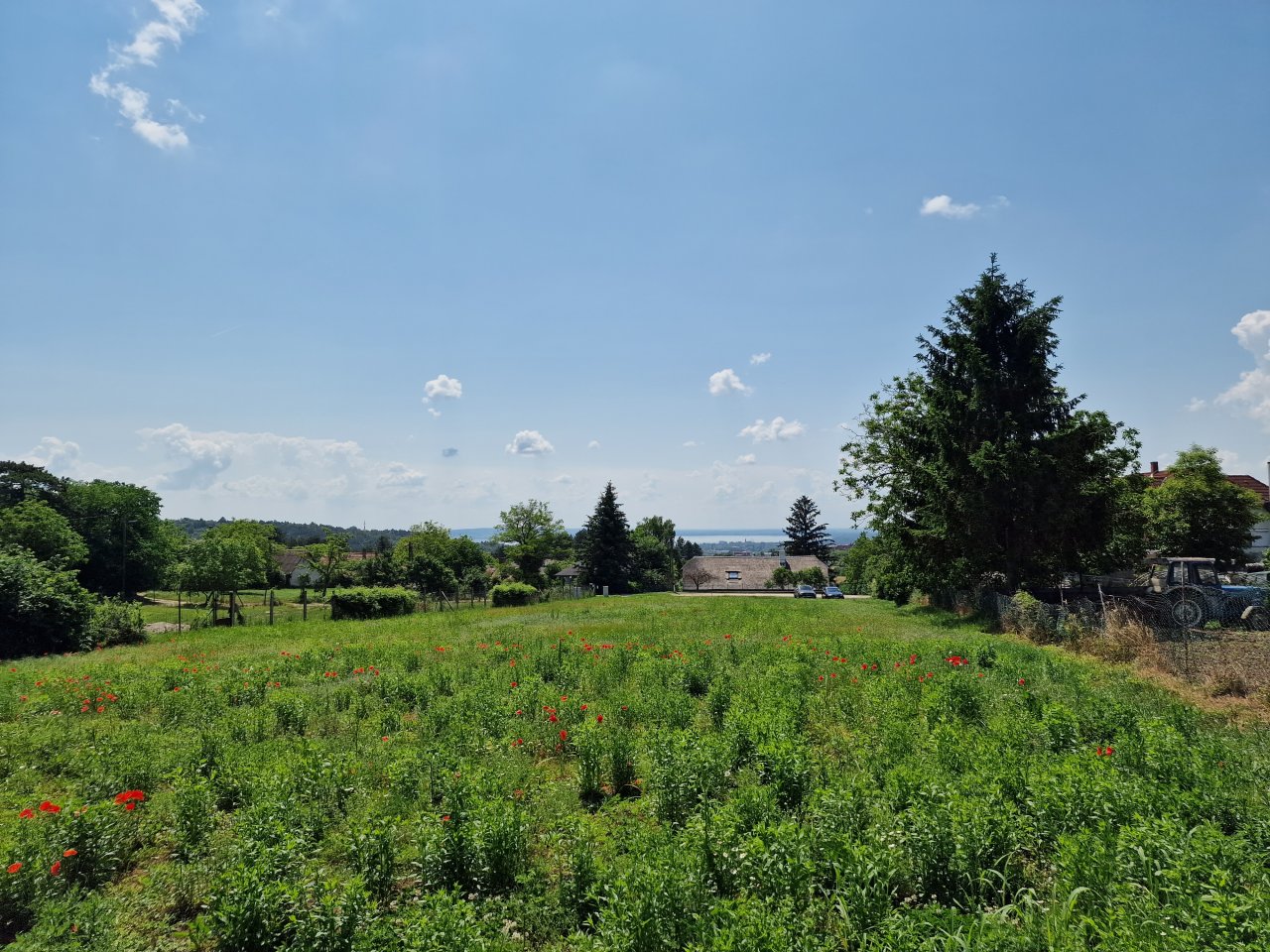 Cserszegtomaj: 2 schöne Baugrundstücke mit teilweise Seeblick am Nordufer des Balaton 