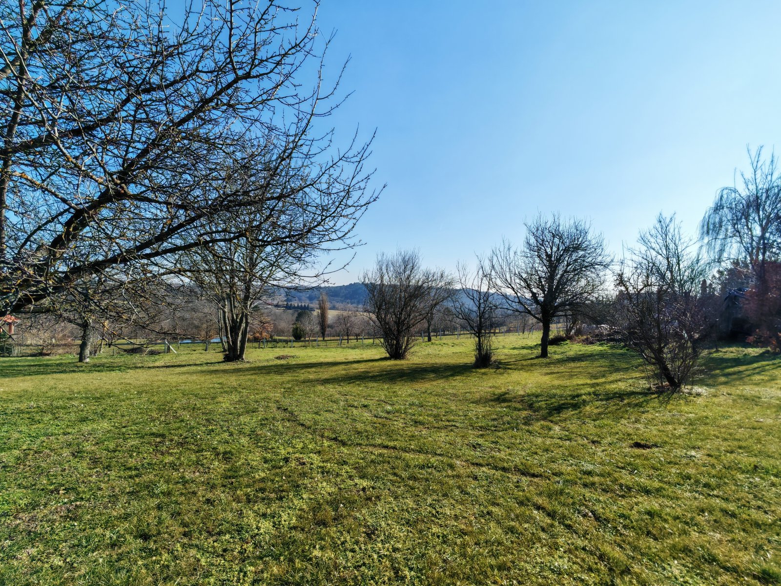 Baugrundstück mit Weitblick - Naturparadies zum Selbstgestalten!