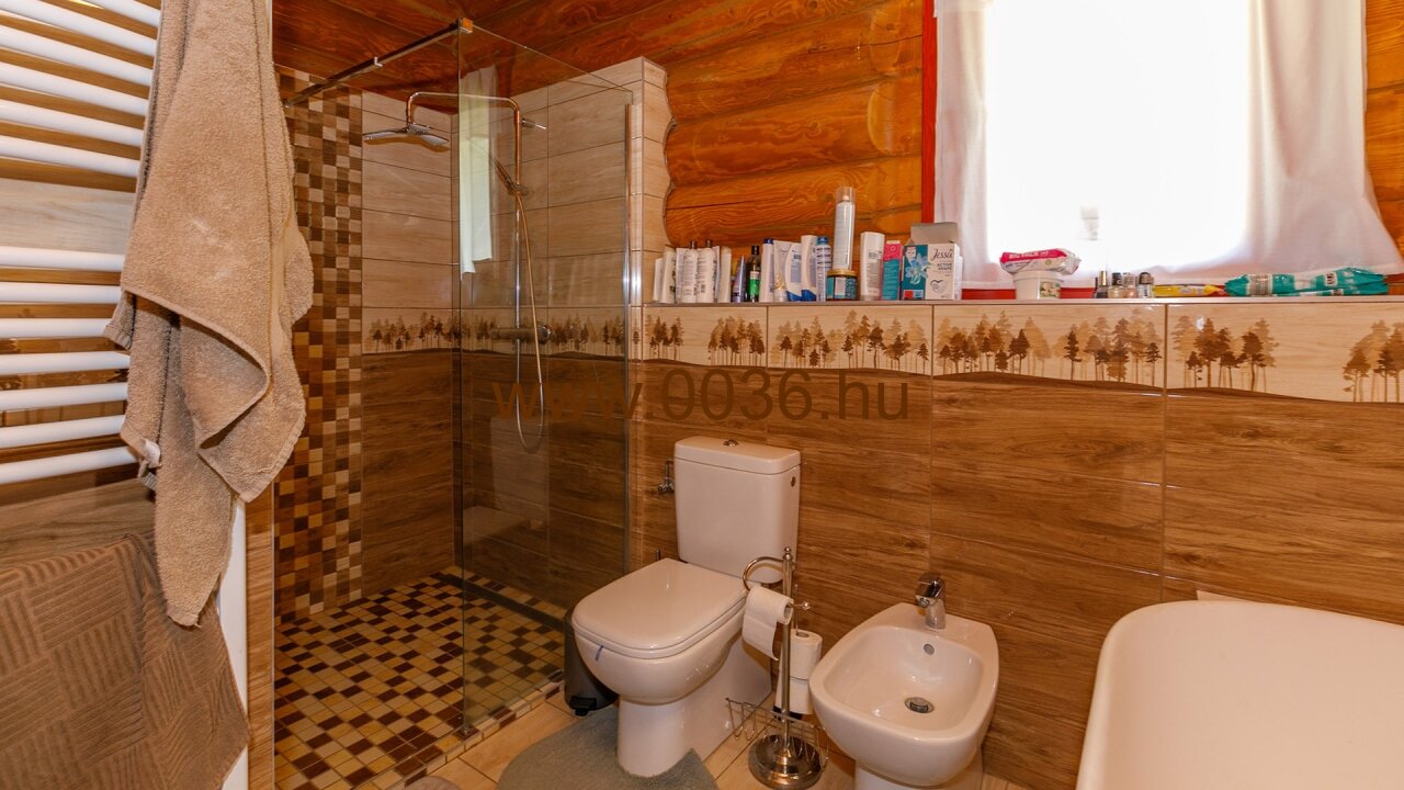 (AAAB) Original Transylvanian log house as a real curiosity