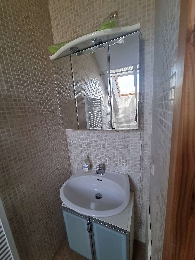 (AAAB) 2 single-family homes with large property and swimming pond