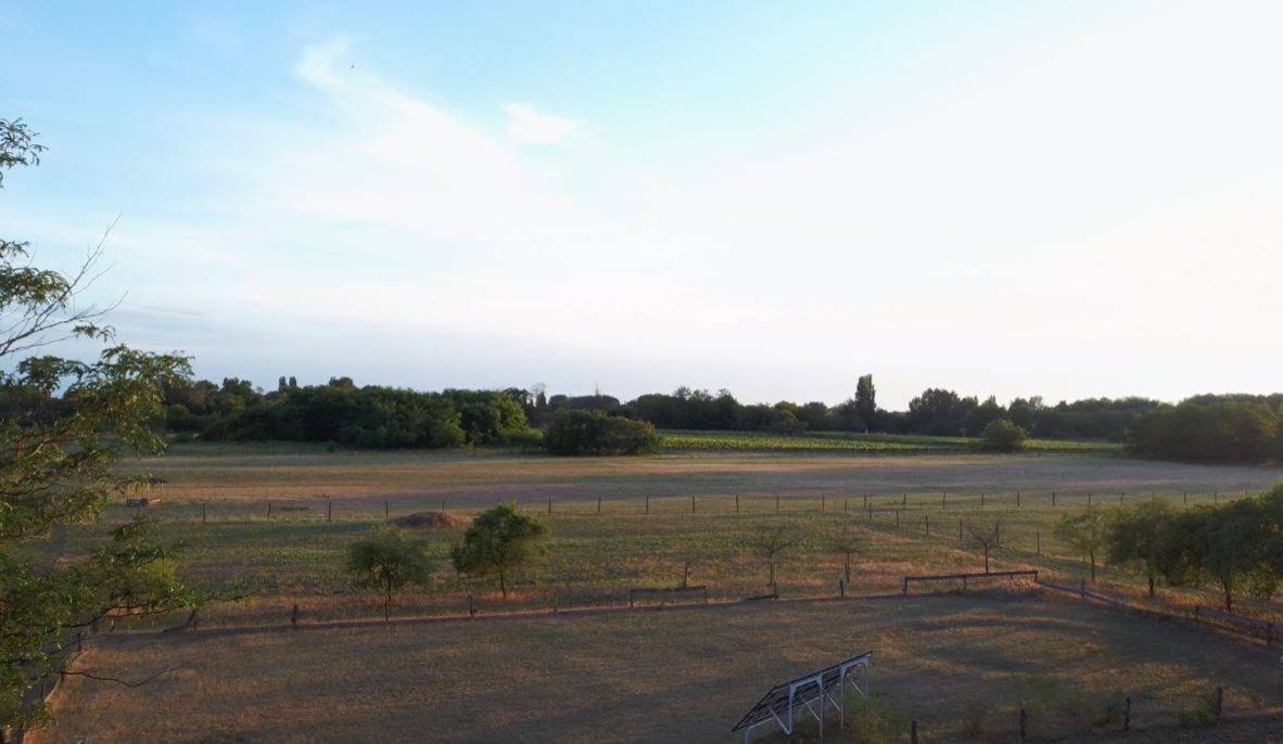 Farm with 3 residential buildings and outbuildings and 8.3 hectares of land