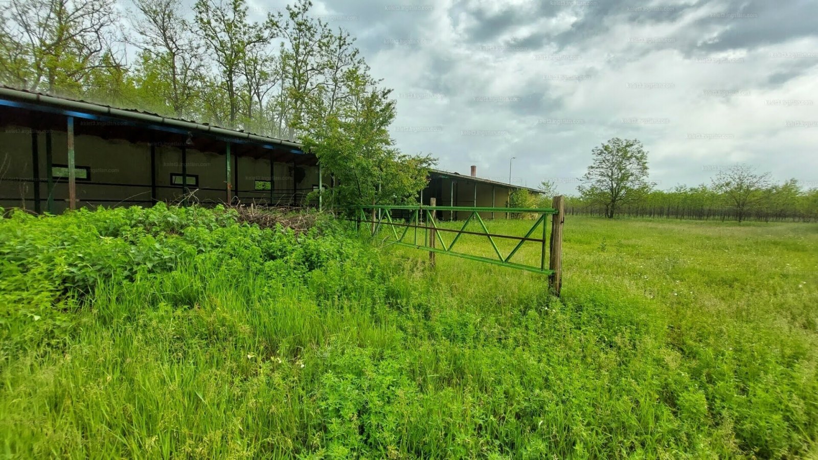 Agricultural property for diverse use