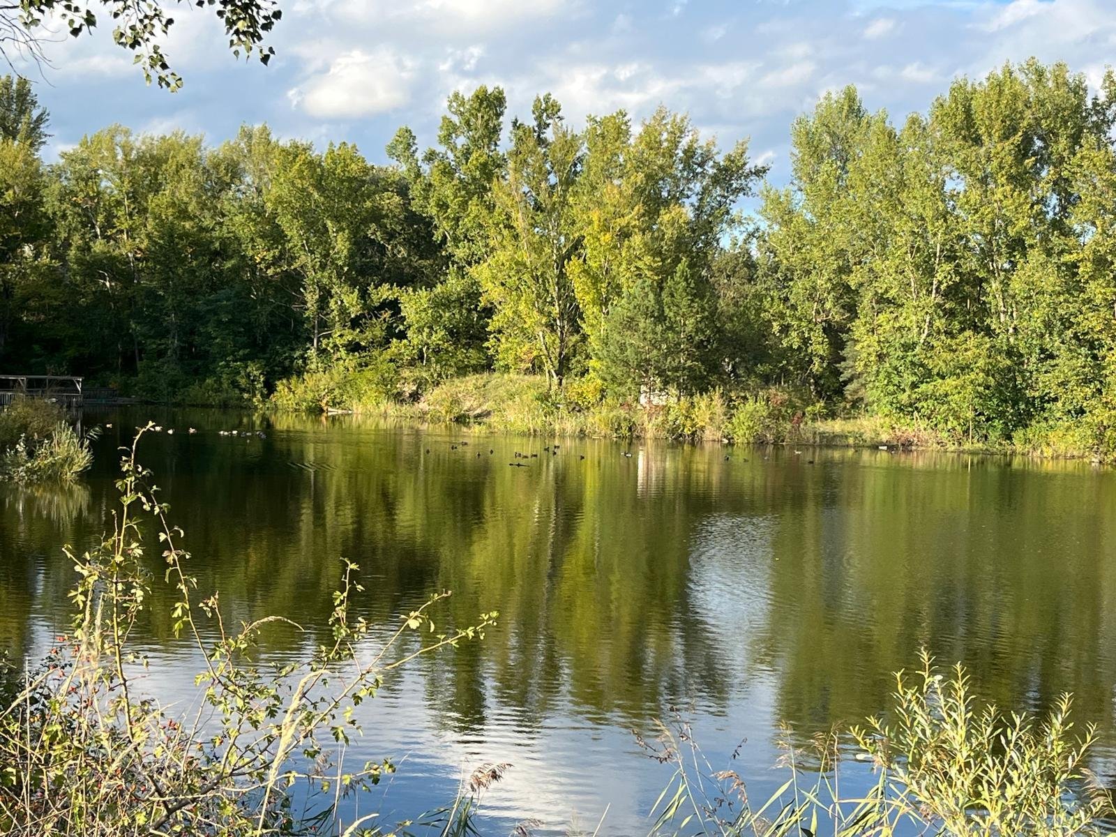 bei Mosonmagyaróvár: Exclusive real estate package with house, pond & natural paradise – 4 hectares of pure privacy! 