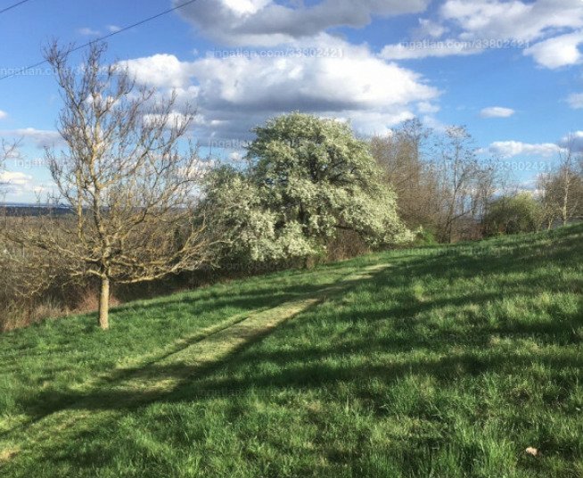 Alsópáhok : Large plot with distant views near Hévíz, a great investment (A-A) 