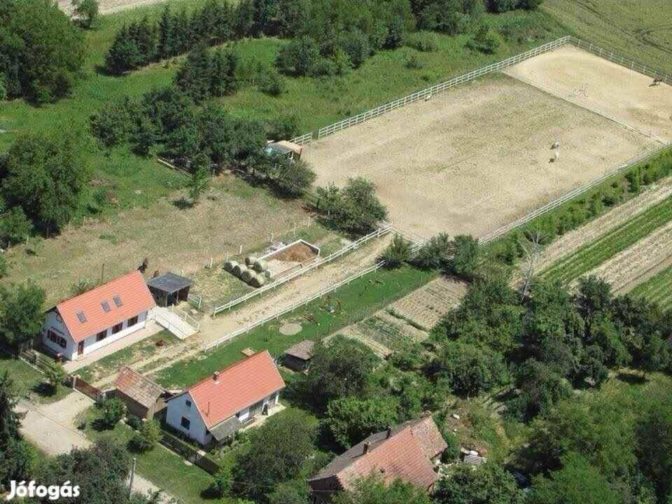 Nagyatád: Very well-maintained detached house & horse keeping possible near Nagyatád 