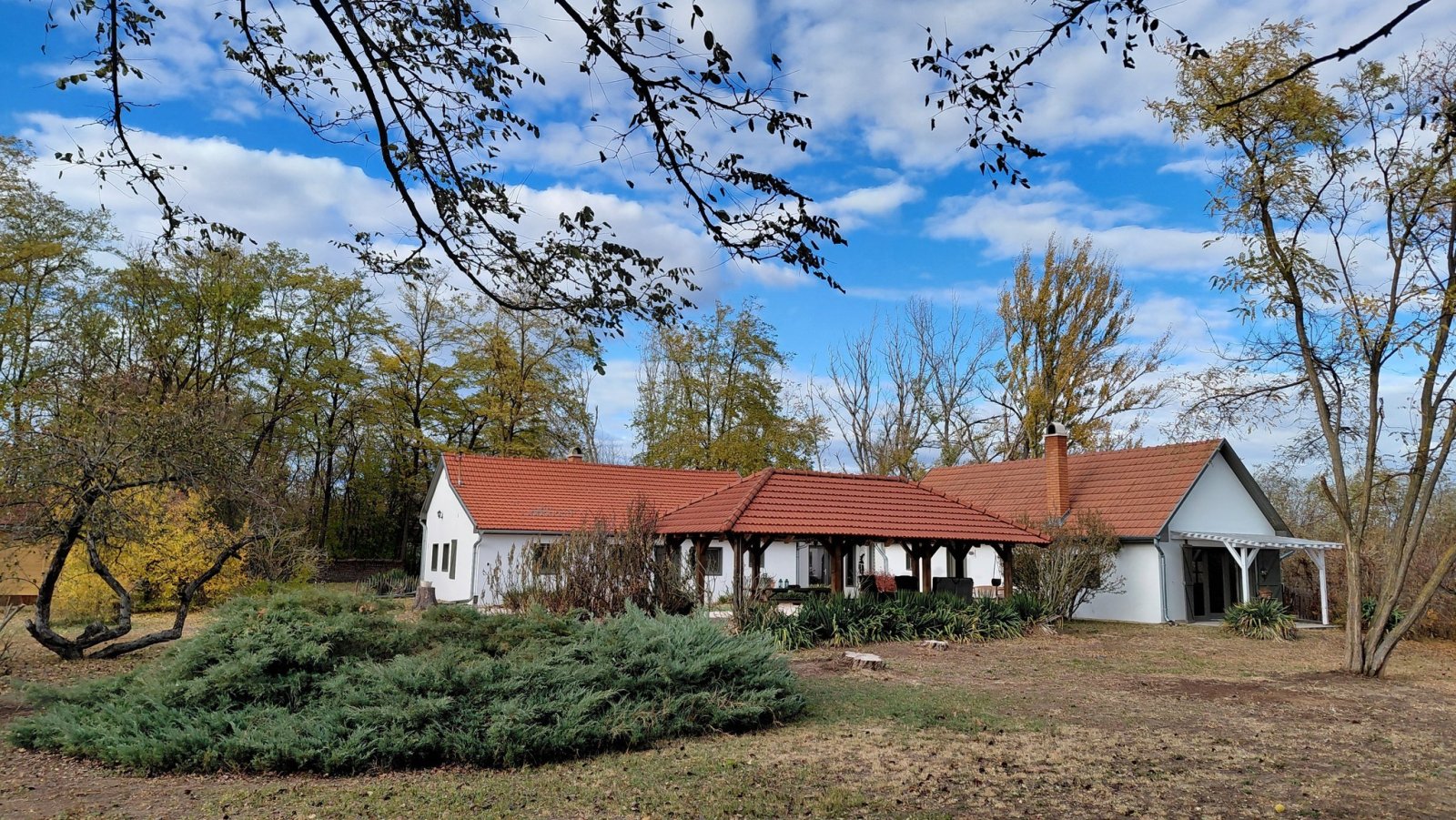 Fülöpjakab: Unique properties on a well-maintained country lane at the edge of the forest 
