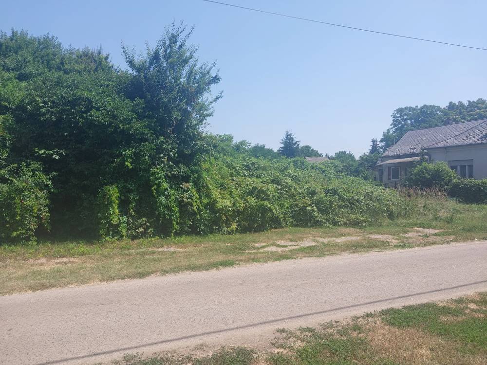 Berzence: Building plot with panoramic views into the distance 