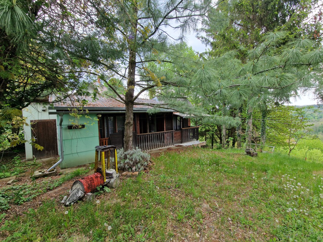 Zalaegerszeg: (ACAB) small vineyard cottage in a quiet location above Zalaegerszeg 