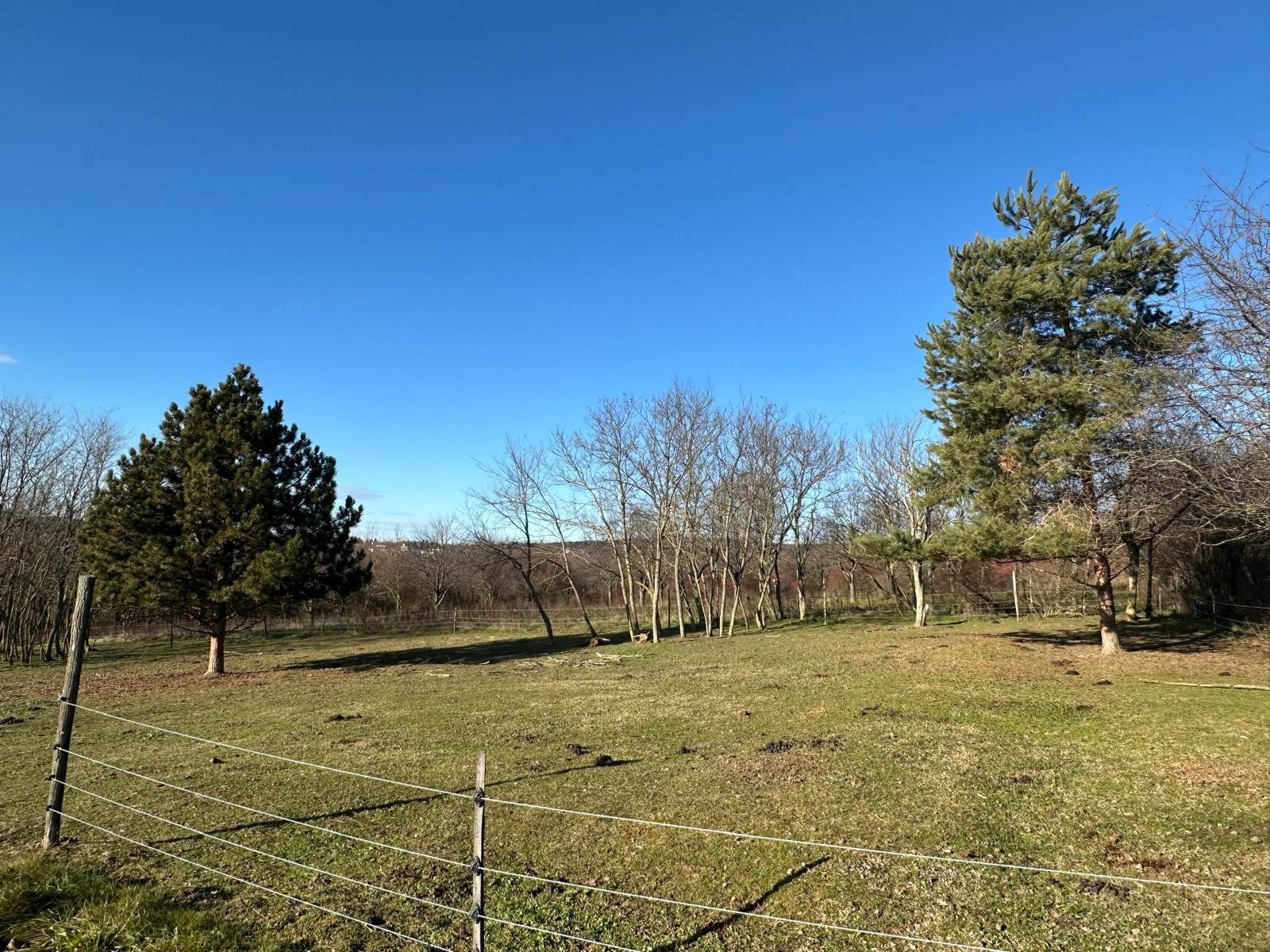 Cserszegtomaj: Two plots of land in a quiet and easily accessible location 