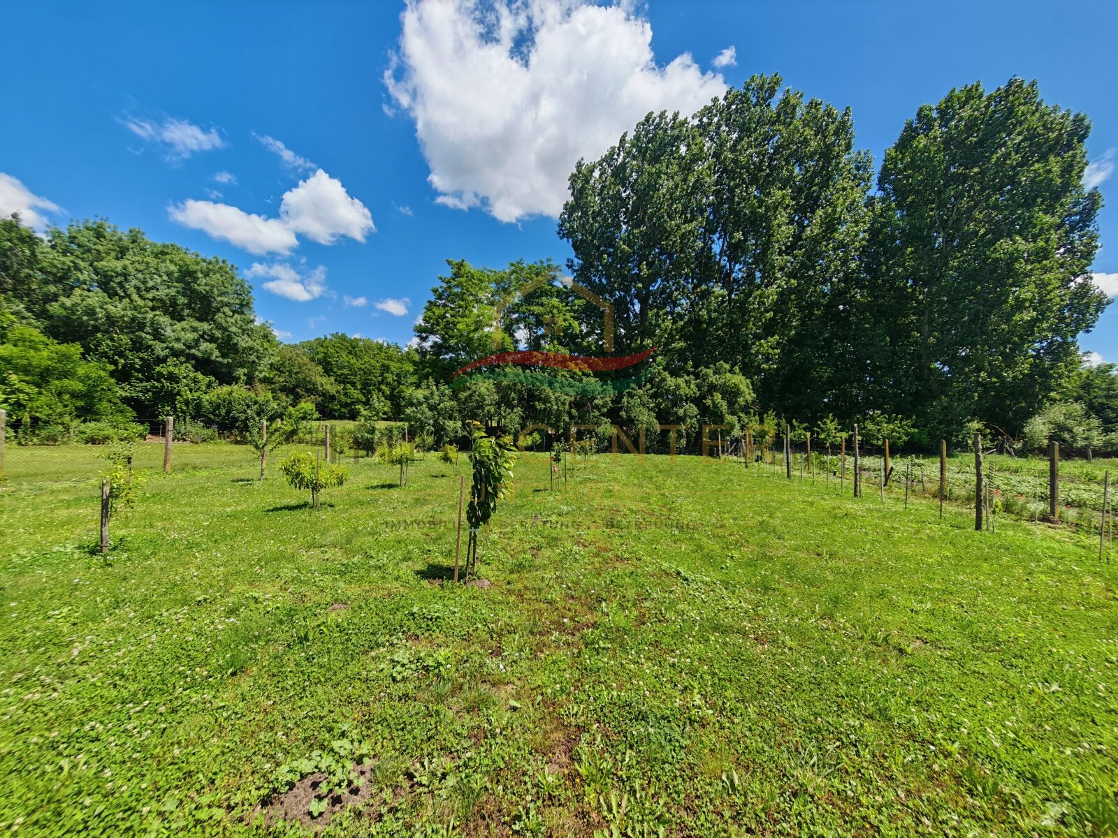 (BBA) Detached house in a quiet, family-friendly area