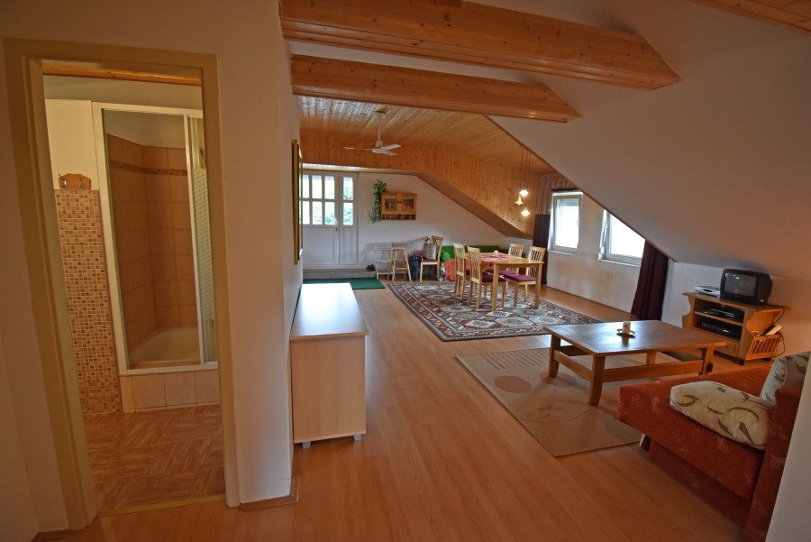 (AAAB) Two-family house with a large plot of land in a quiet location