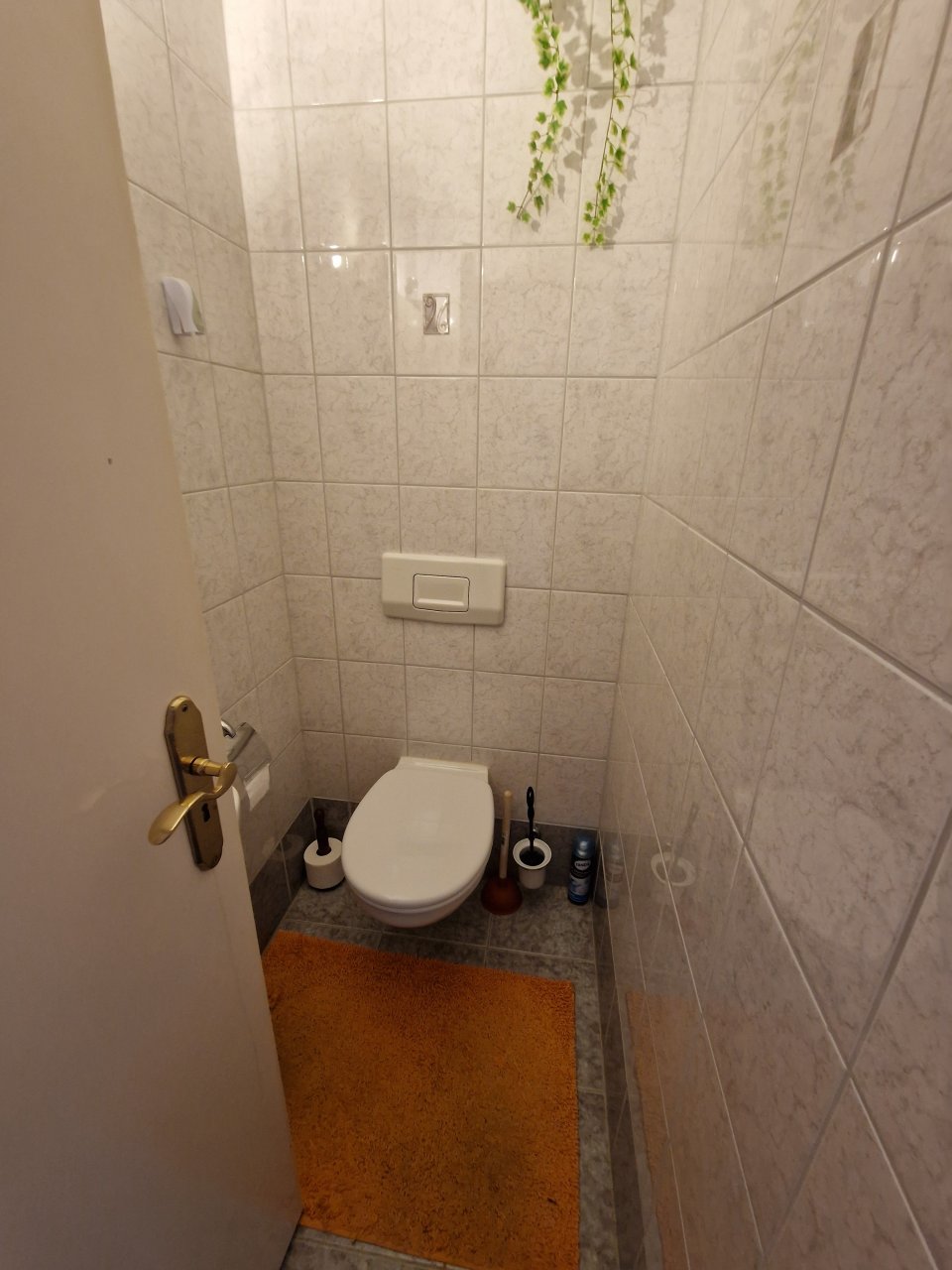 Guest toilet ground floor