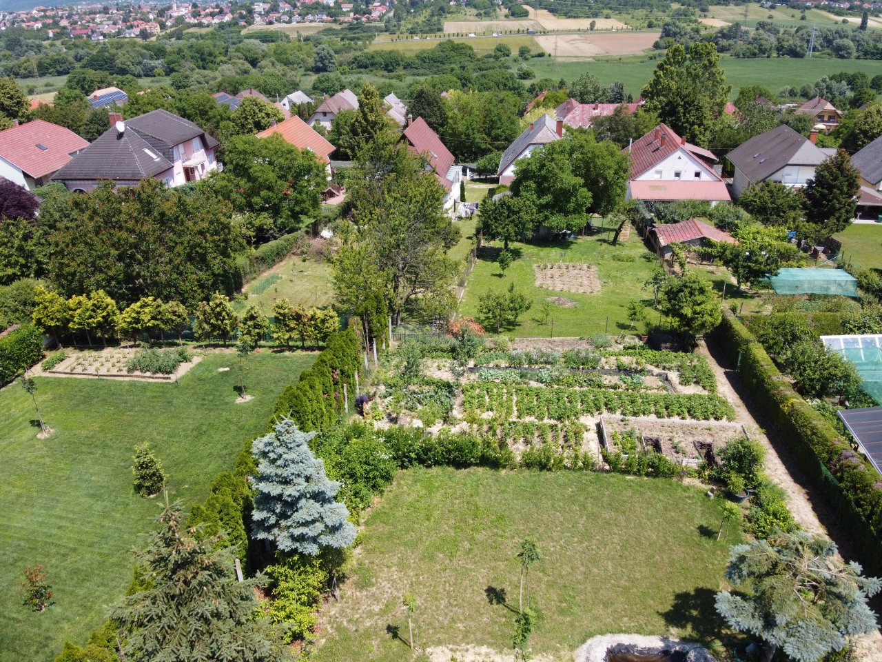 large organic vegetable garden