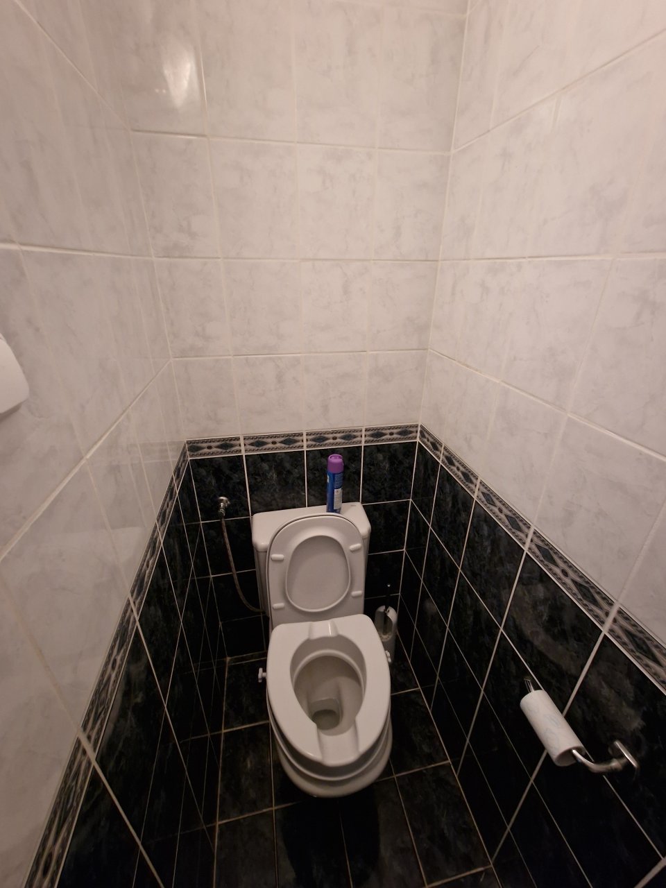 toilet downstairs