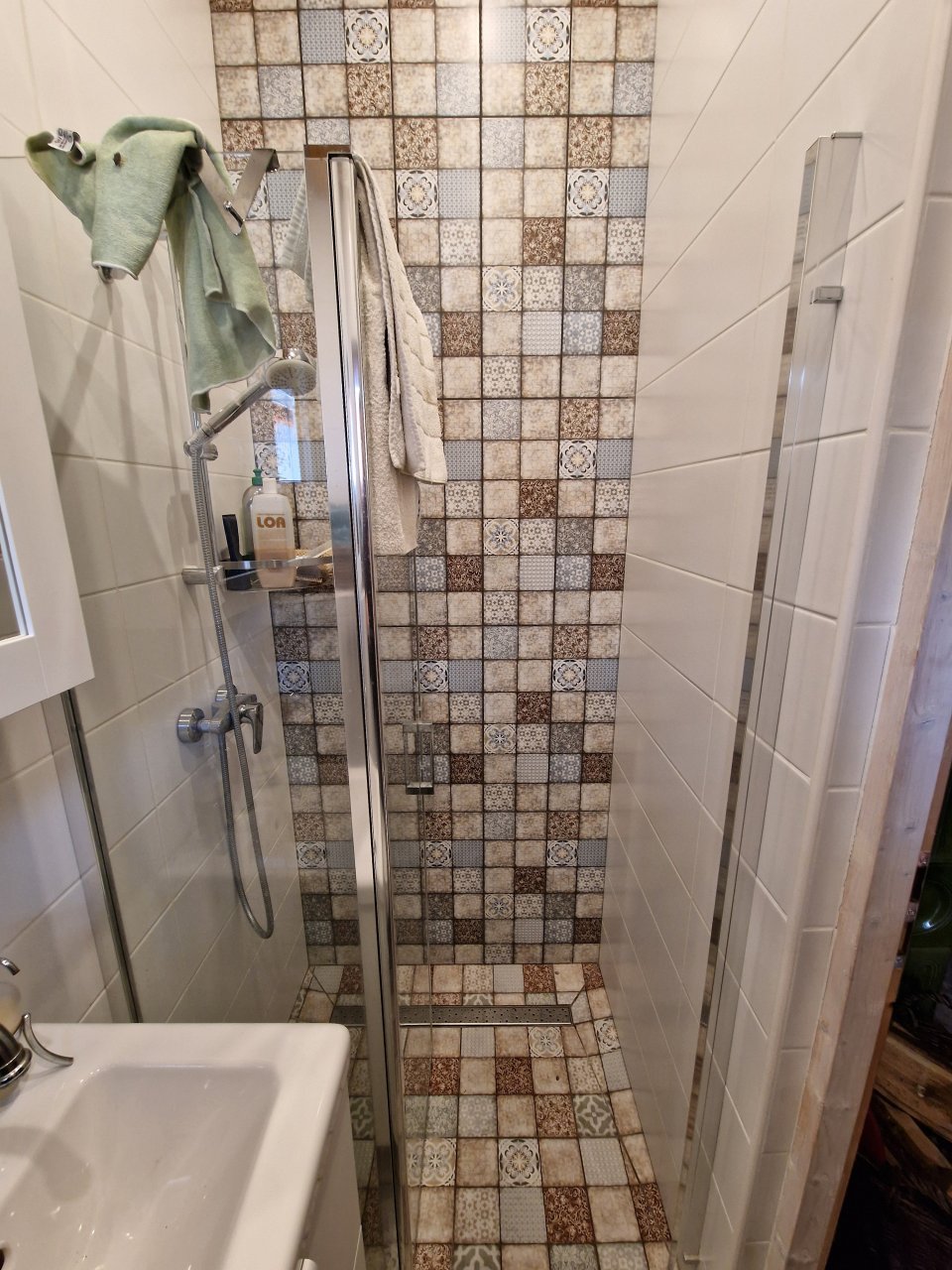 Guest toilet / shower