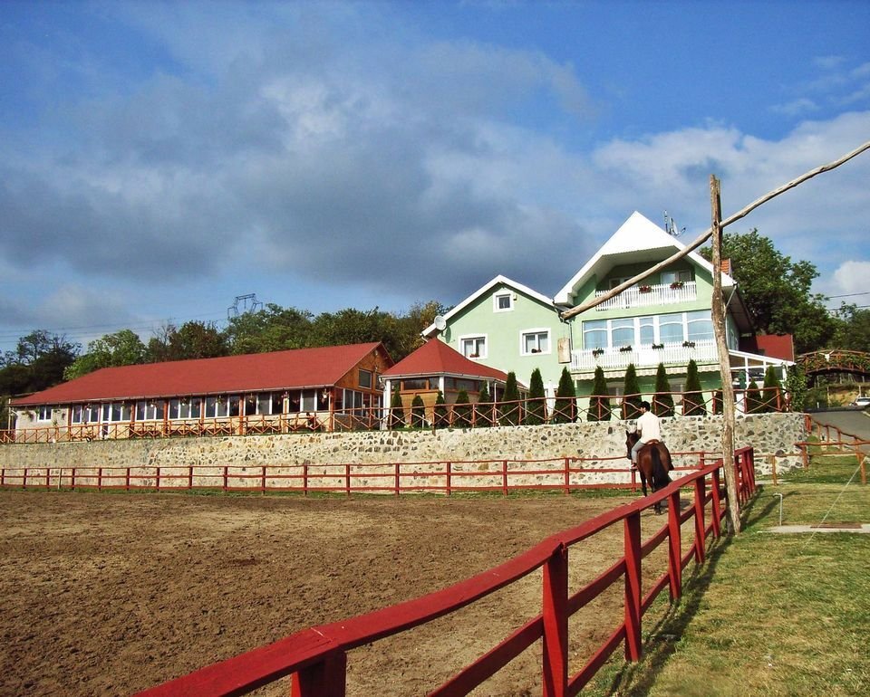 Galgamácsa: (A-AB) Large horse boarding facility with enormous potential in the catchment area of Budapest 