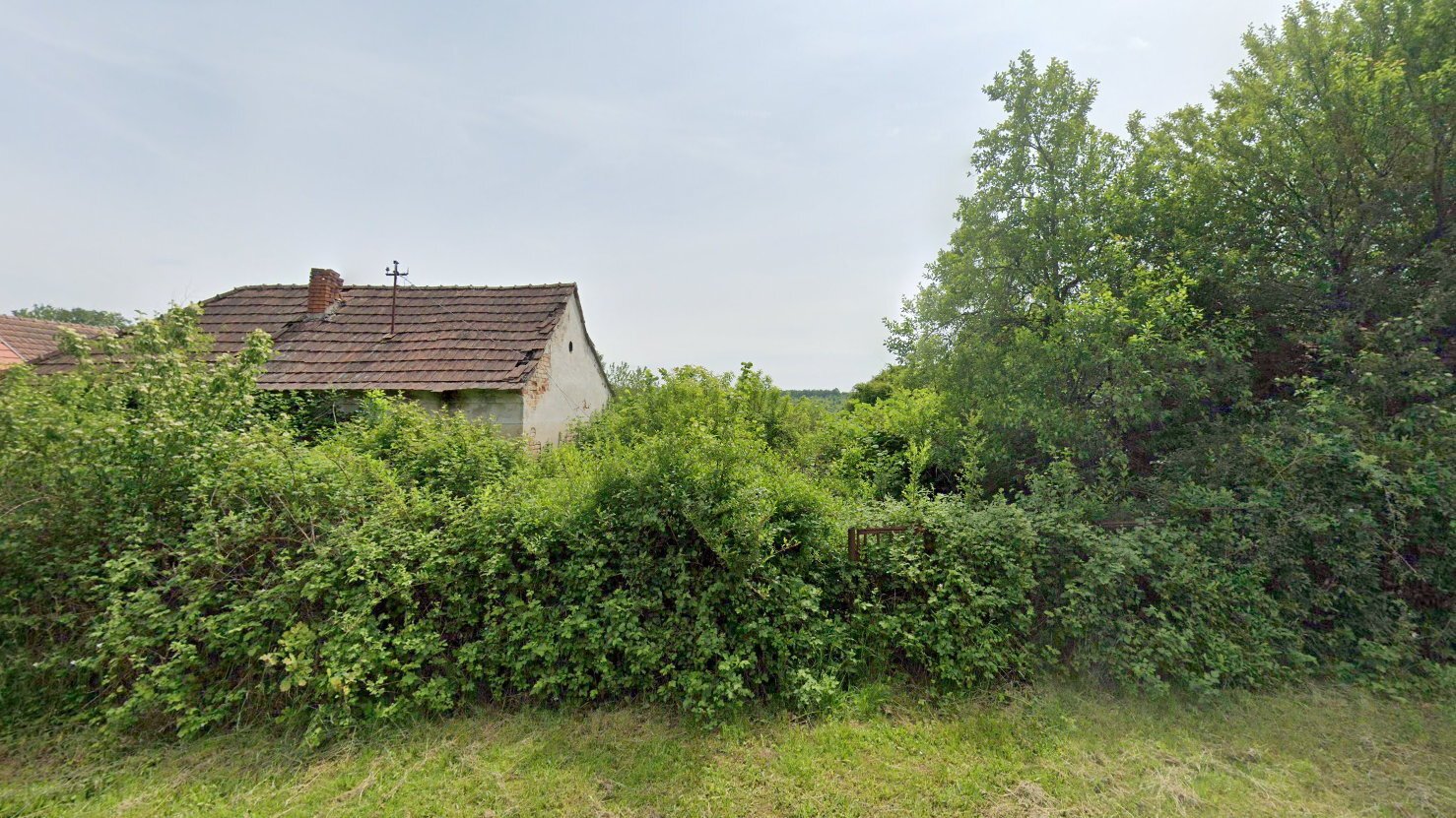 Ashampoo Snap Saturday, September hms  