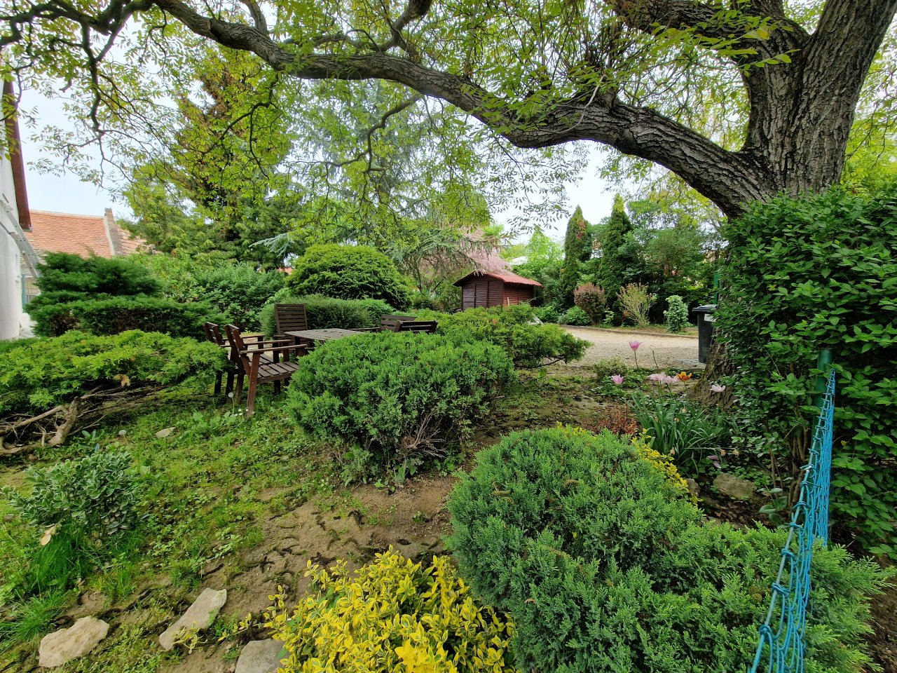 Idyllic garden oasis with old tree population - Your private natural paradise for relaxation!