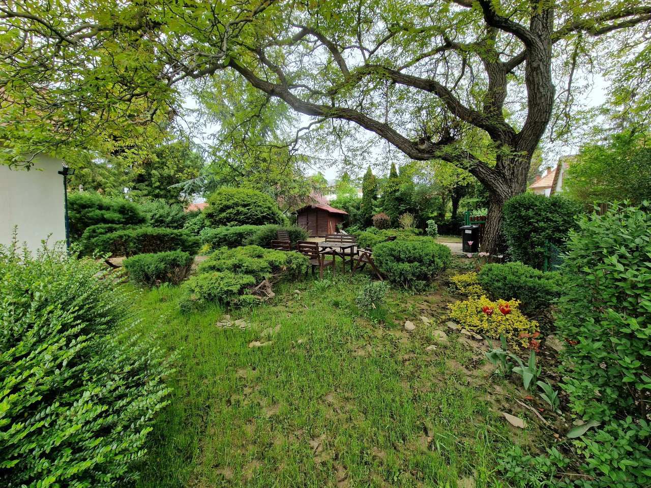 Idyllic garden oasis with ancient tree and cozy wooden cabin - Your personal retreat paradise!