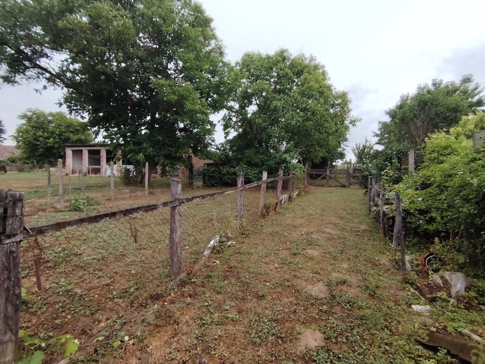 Natural plot with development potential – your green retreat awaits!