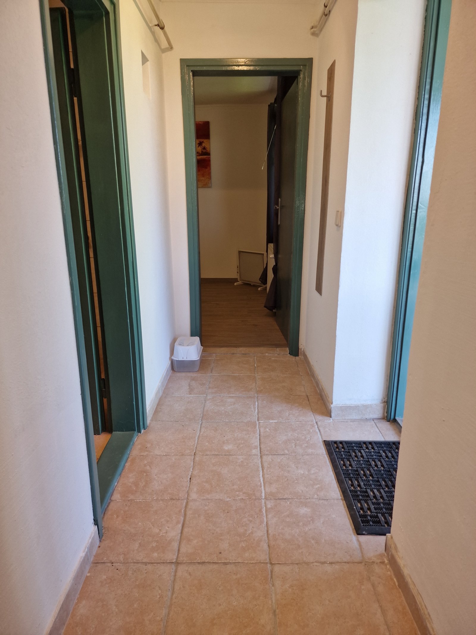 Hallway Apartment