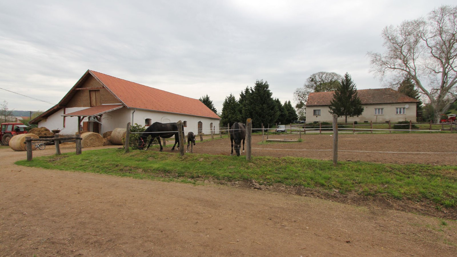 bei Héviz: Establo de caballos con zona de ejercicio y gran propiedad cerca de Héviz 