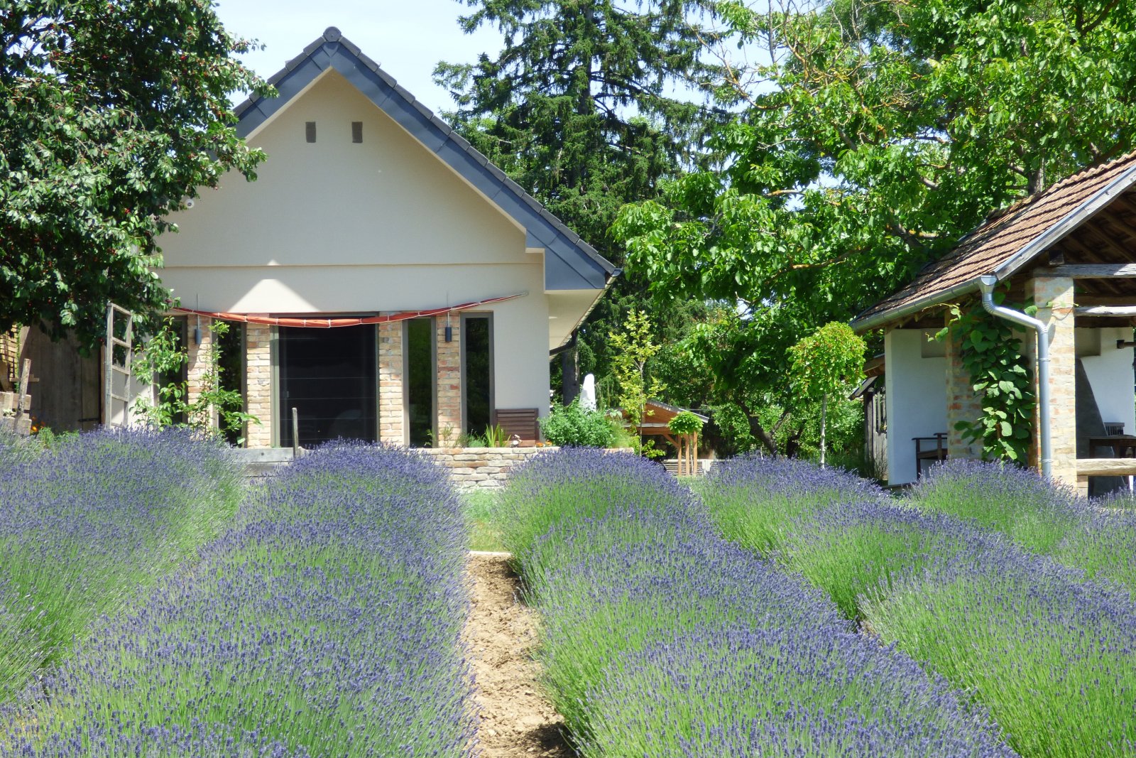 Karád: (AAAB) Casa de campo excepcionalmente renovada con su propio campo de lavanda 