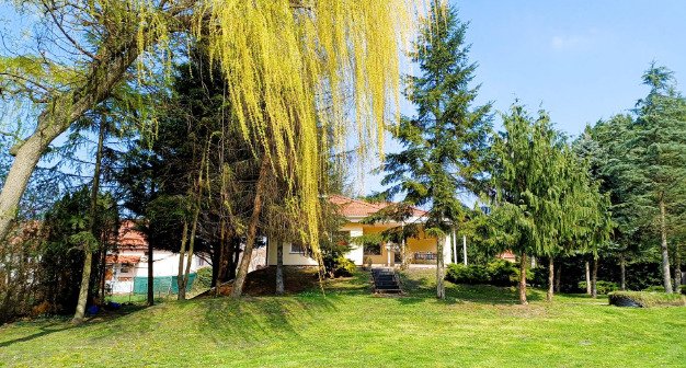 Rábapatona: Casa unifamiliar en una colina con vista al estanque (AAA) 