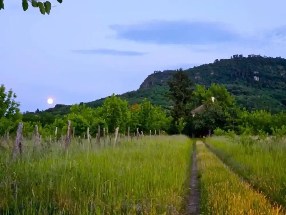 Tapolca: Una verdadera joya en Szent György-hegy en la Toscana húngara 