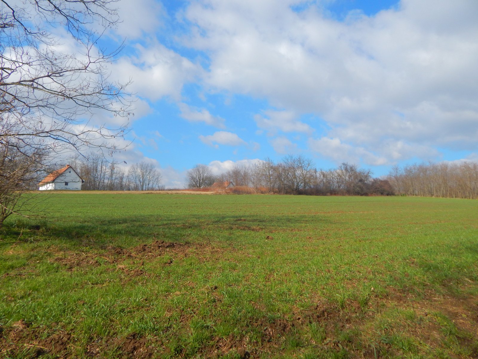 Kéthely: Propiedad en zona tranquila y de fácil acceso. 