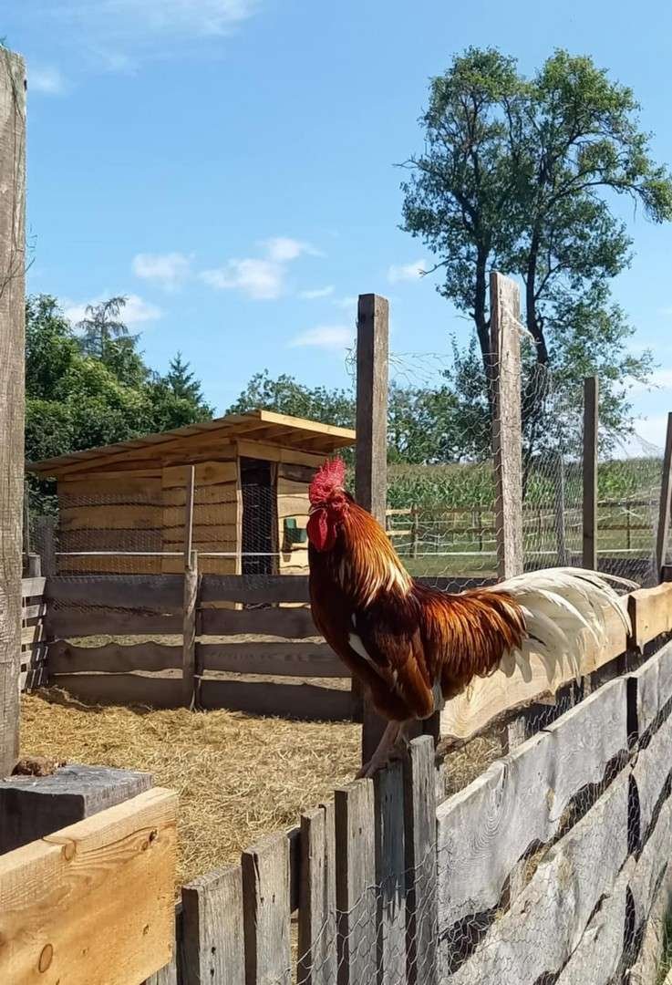&nbsp;