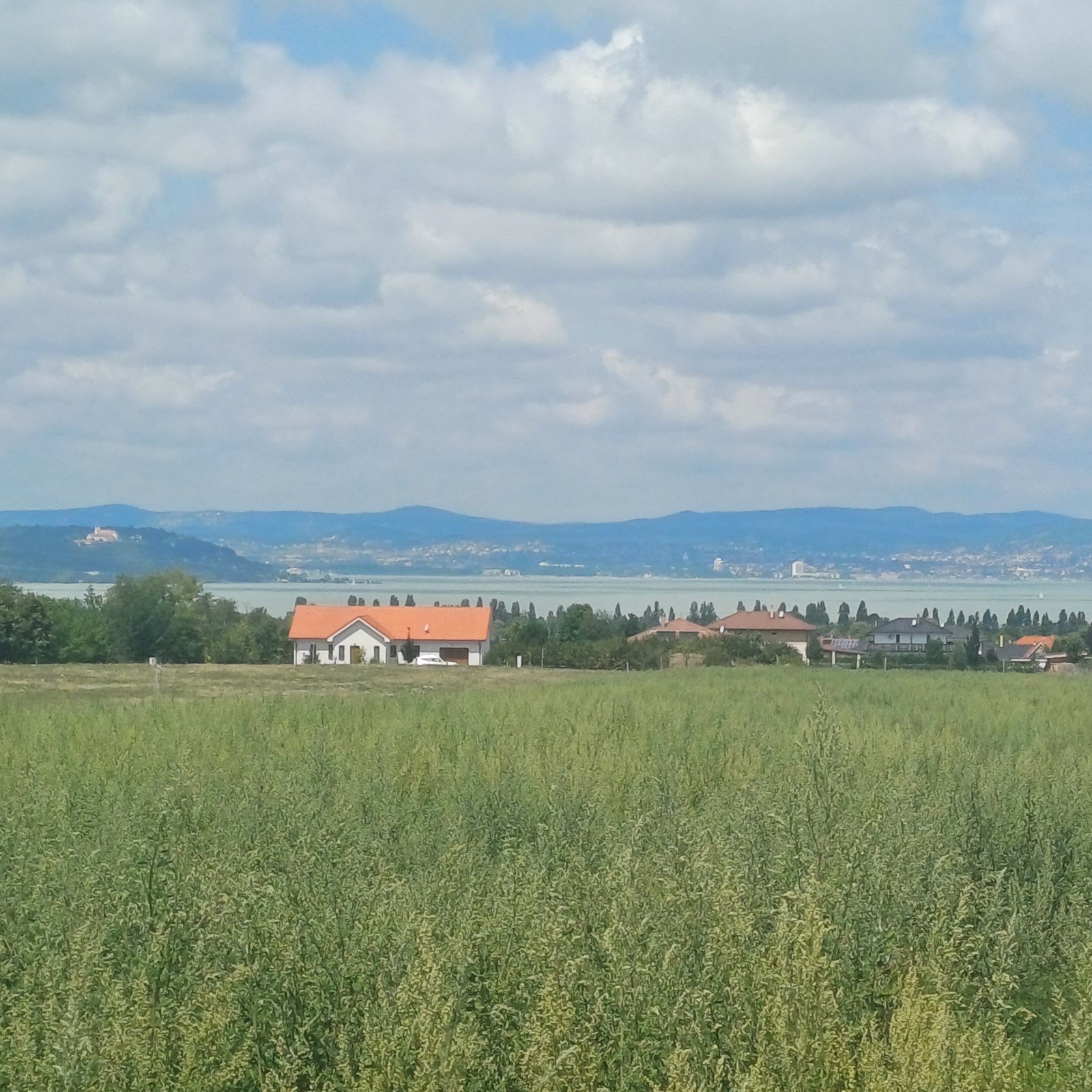 Siófok: (A-A) 50 parcelas edificables con vistas al lago Balaton; ideales para el promotor con visión de futuro 