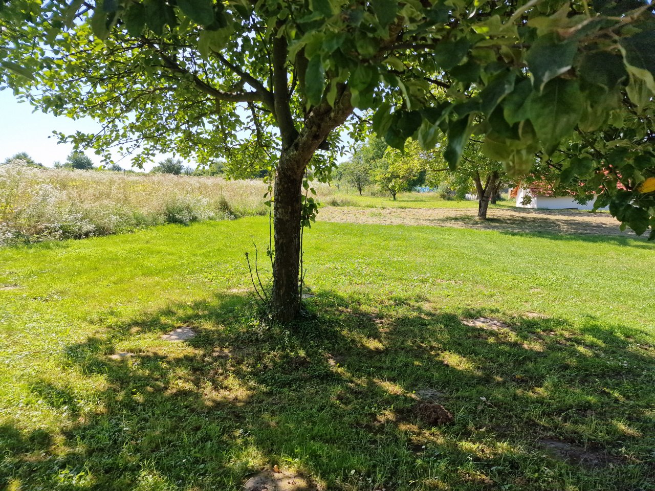 &nbsp;
