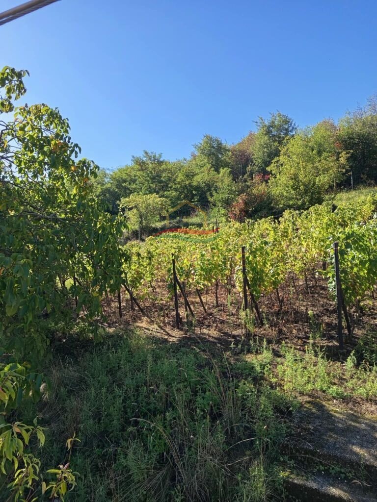 kk_todo: Condado de Veszprém, Tapolca, Colina de San Jorge