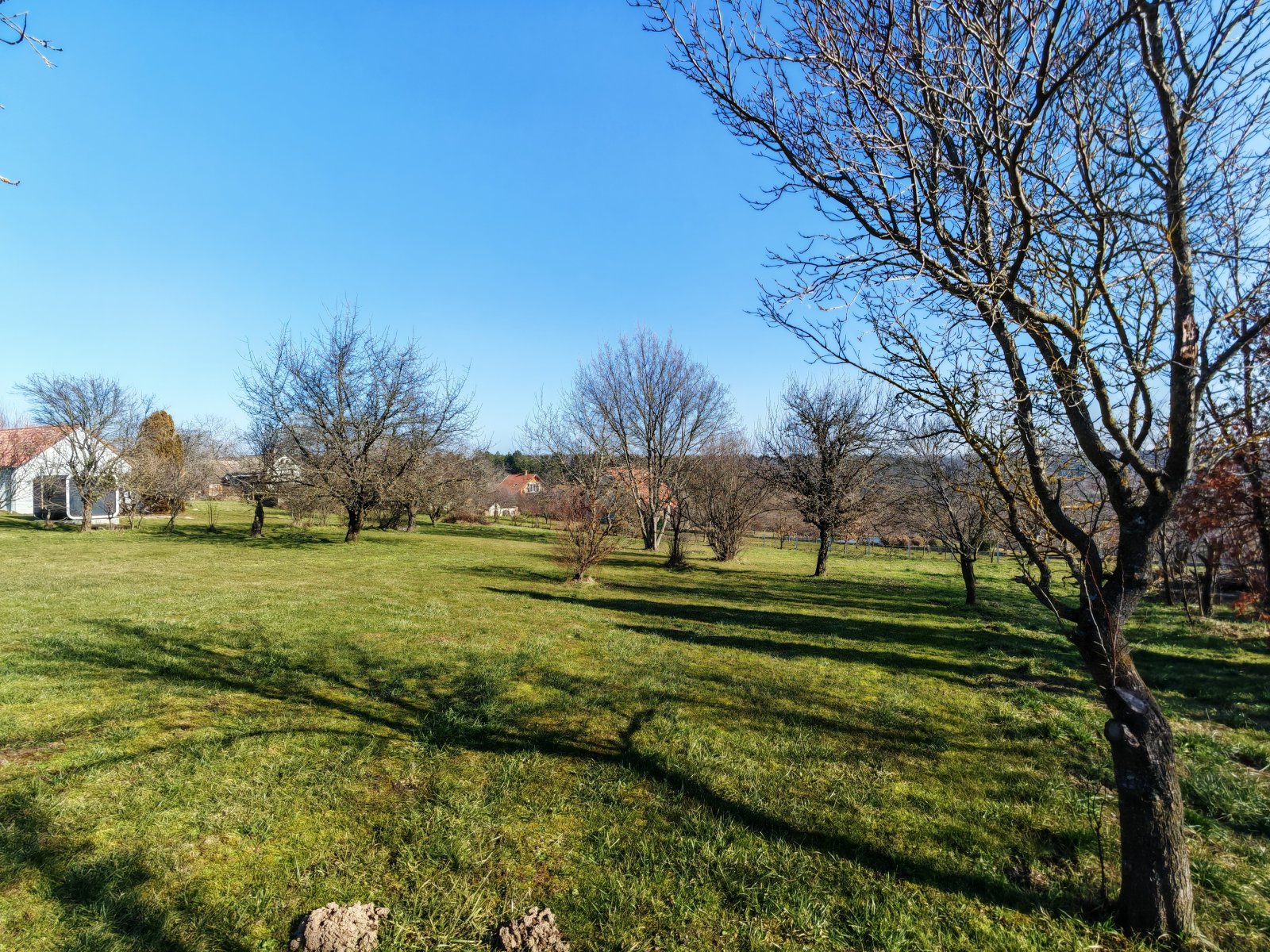 Terreno para construir con vistas panorámicas - ¡Un paraíso natural para diseñar a tu gusto!