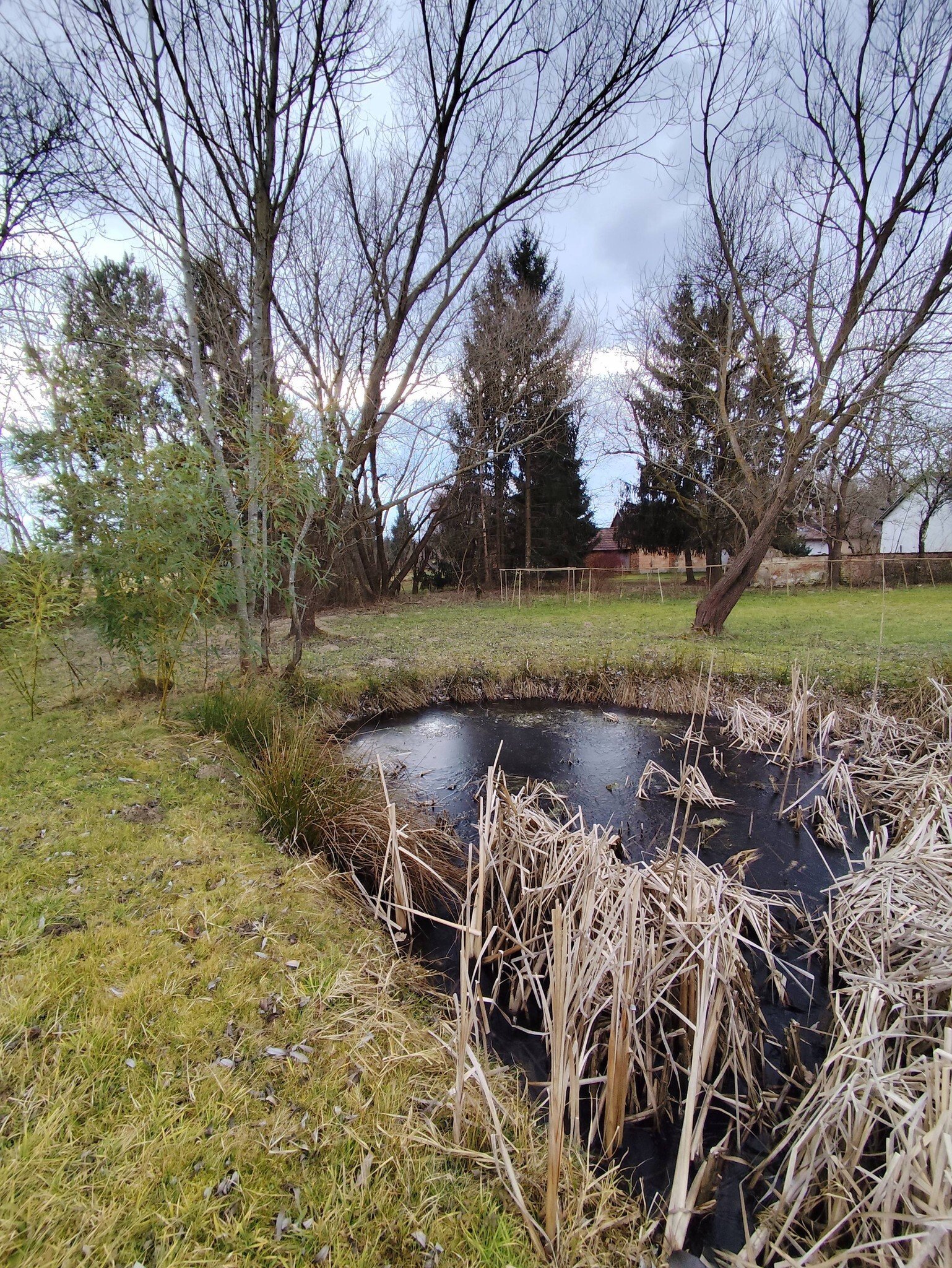 Nagyrákos: Álomotthon, lovarda, állattenyésztés és befektetési lehetőség egyben Nagyrákos: Álomotthon, lovarda, állattenyésztés és befektetési lehetőség egyben