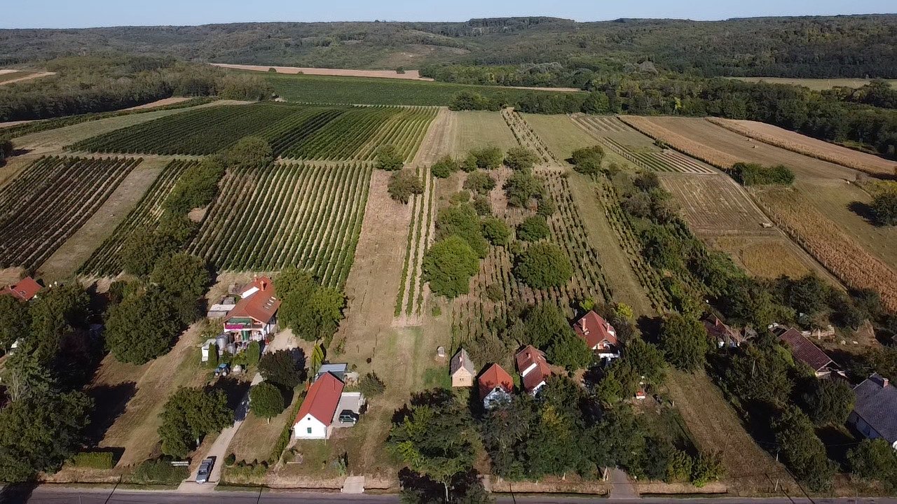 Szőlősgyörök: Teljesen felújított szőlőültetvényes tájház a Balaton mellett Magyarországon 