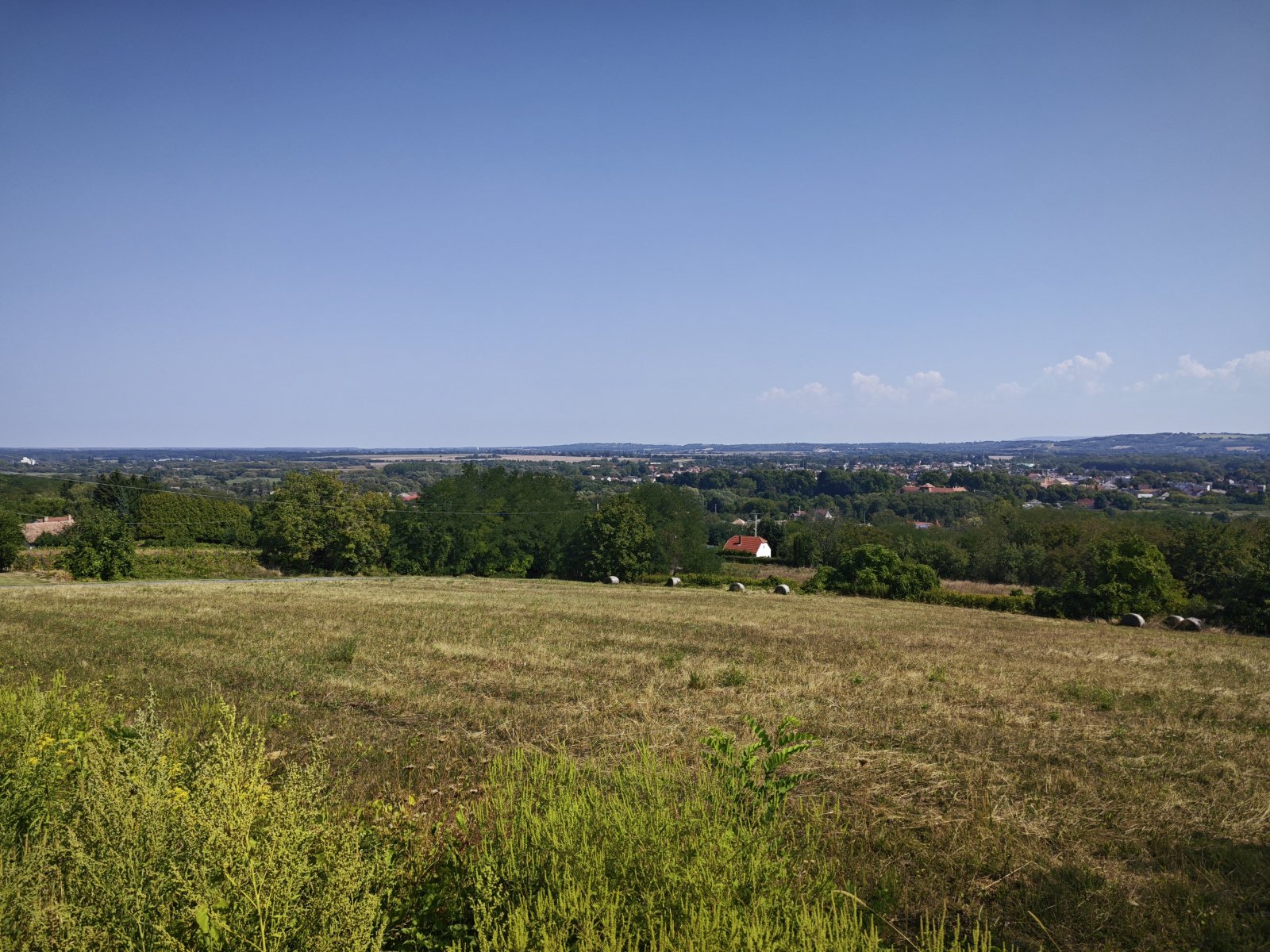 &nbsp;