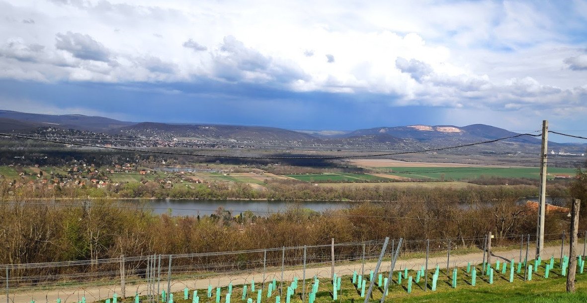 Ashampoo Snap szombat, . június hms  