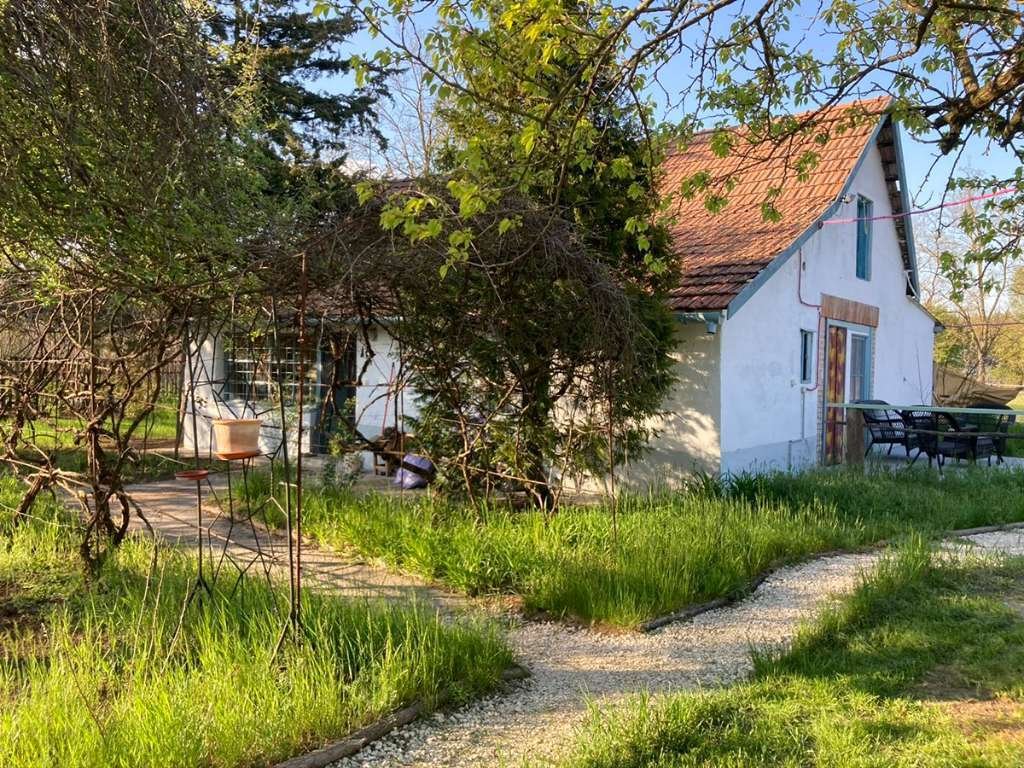 Tiszaalpar: 5 Pinzen / huizen op een groot perceel op een afgelegen locatie 