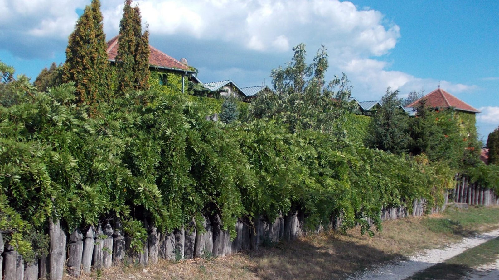 Héviz: (ACAB) Uitstekende kans nabij Héviz voor investeerders met visie 
