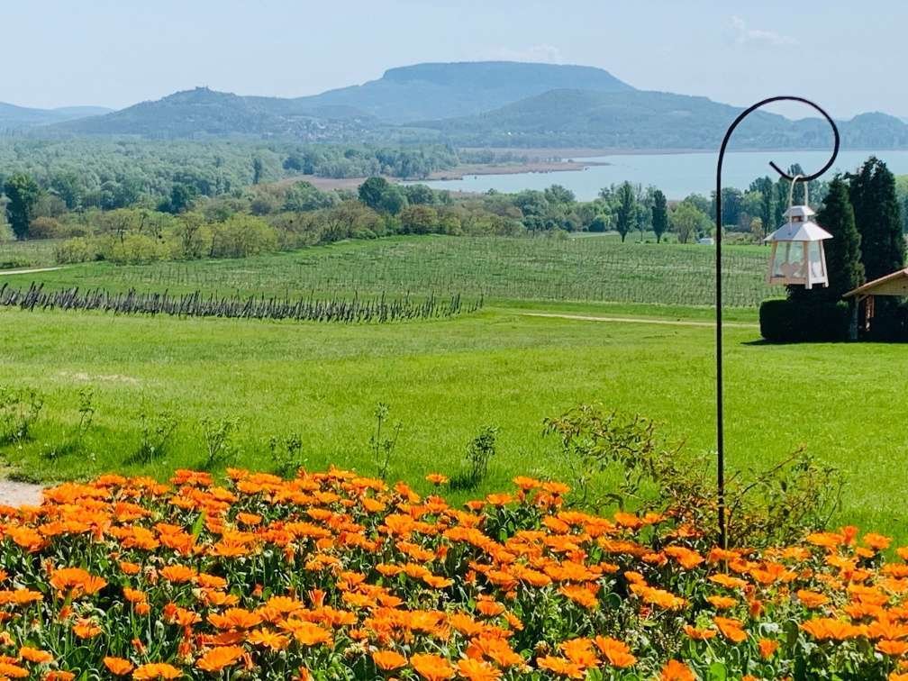 Balatonederics: Een peperkoekhuisje bij de wijnmakerij Balatonedrics. 