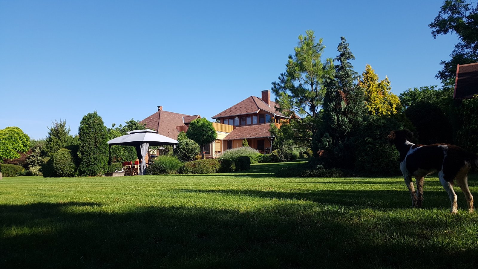 Cserszegtomaj: Luxe villa nabij de kust van het Balatonmeer 