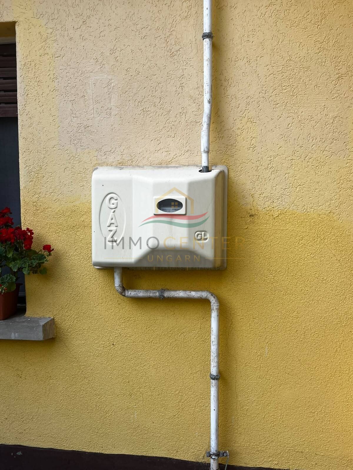 Gerenoveerde vrijstaande woning in een rustige, natuurlijke omgeving.