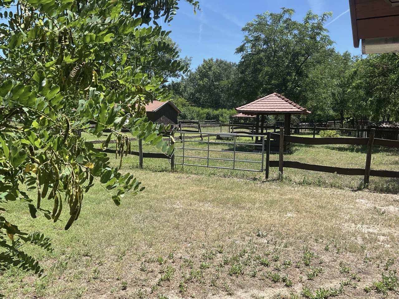 Kleine boerderij paddock