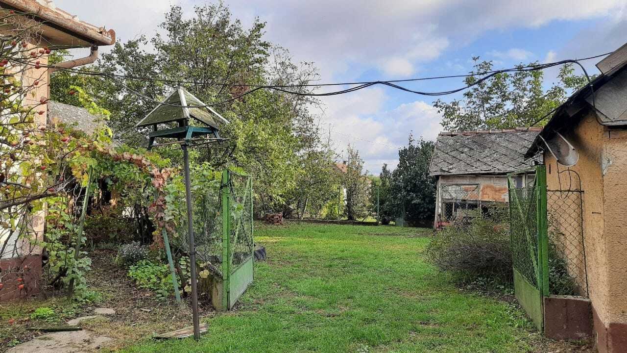 Ruim aangelegde tuin met volwassen bomenbestand en diverse gebruiksgebieden