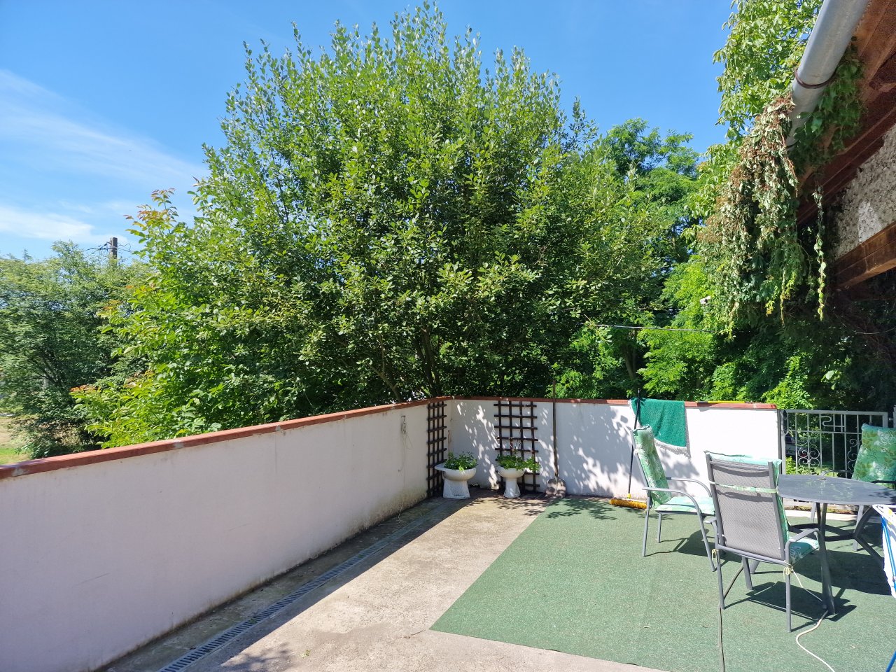 terras terras
