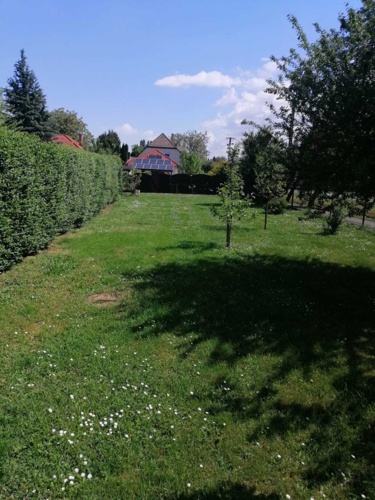 (A-B) Interessantes Baugrundstück in Seenähe &amp; bereits mit Pool, schön eingewachsen (FAR2124)